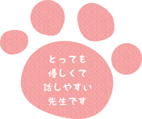 とっても優しくて話しやすい先生です